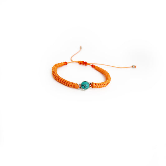 Turquoise X Orange Snake